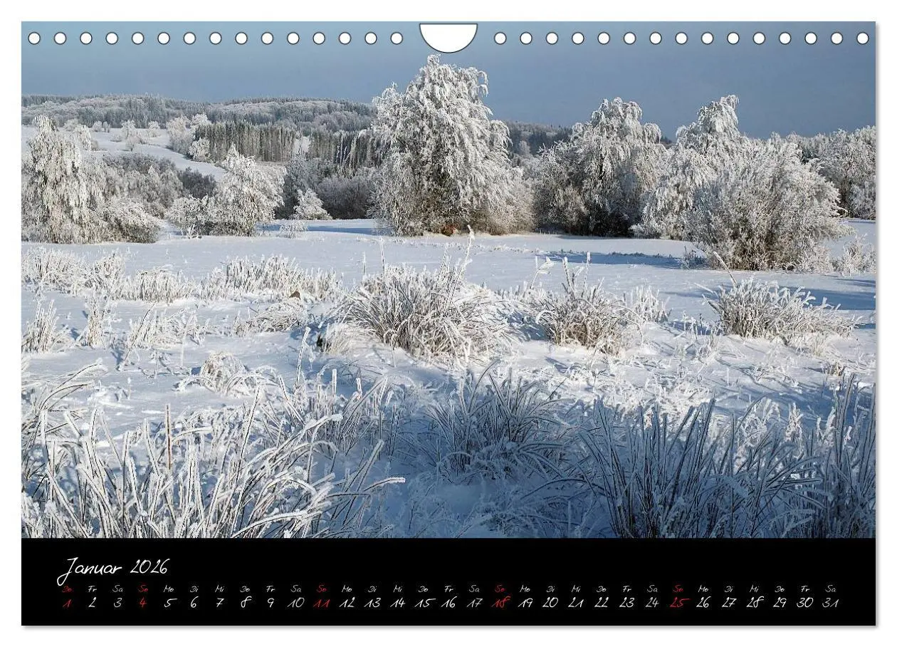 Bild: 9783516176179 | RHÖN = SCHÖN (Wandkalender 2026 DIN A4 quer), CALVENDO Monatskalender