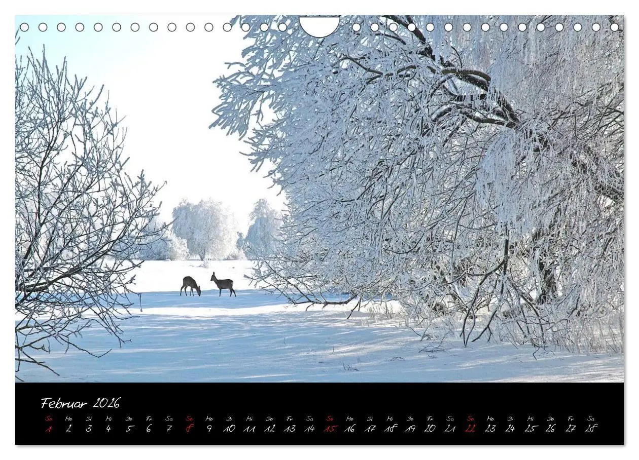Bild: 9783516176179 | RHÖN = SCHÖN (Wandkalender 2026 DIN A4 quer), CALVENDO Monatskalender