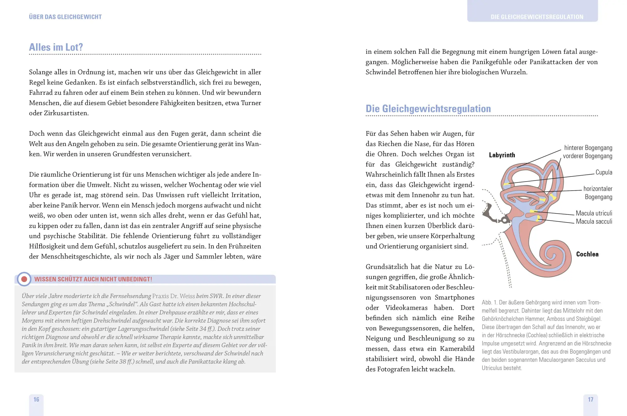 Bild: 9783517096179 | Schwindel ohne Befund | Thomas Weiss | Taschenbuch | 208 S. | Deutsch