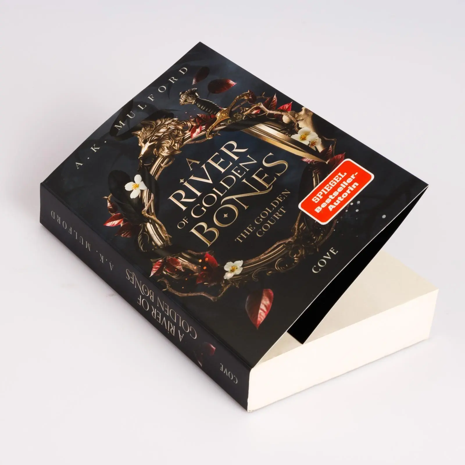 Bild: 9783551586179 | A River of Golden Bones (The Golden Court 1) | A. K. Mulford | Buch