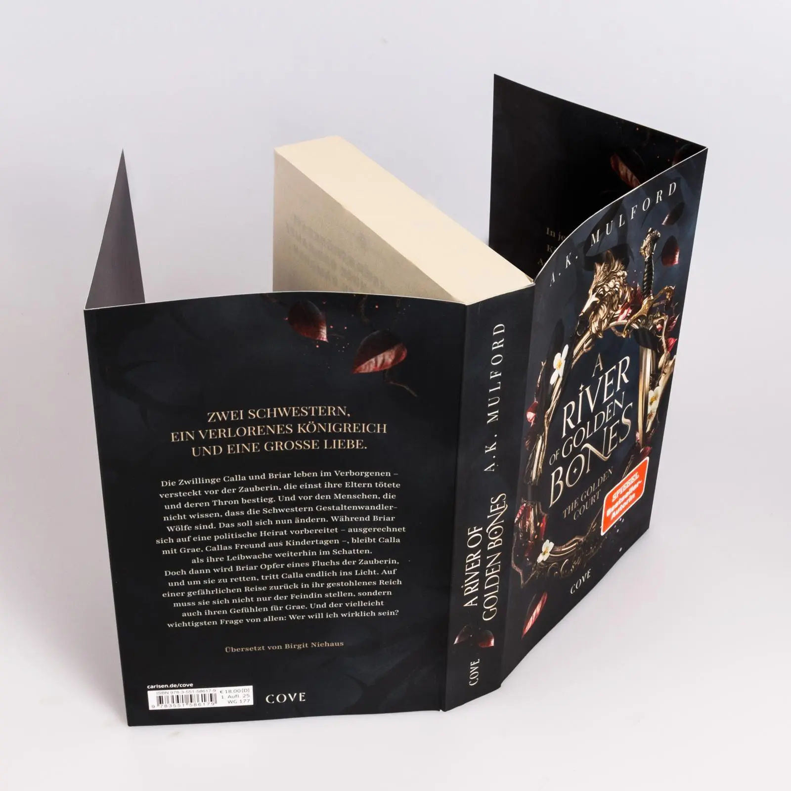 Bild: 9783551586179 | A River of Golden Bones (The Golden Court 1) | A. K. Mulford | Buch