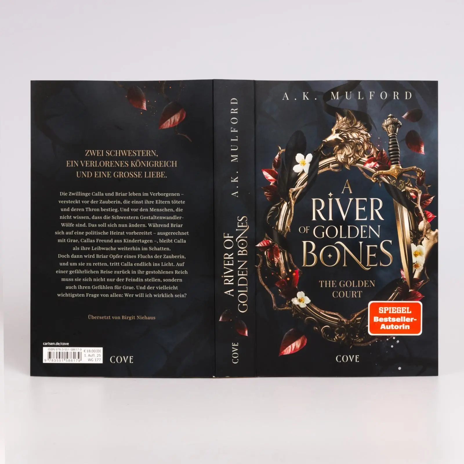 Bild: 9783551586179 | A River of Golden Bones (The Golden Court 1) | A. K. Mulford | Buch