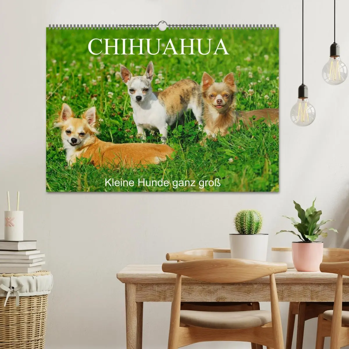 Bild: 9783516166279 | Chihuahua - Kleine Hunde ganz groß (Wandkalender 2026 DIN A2 quer),...