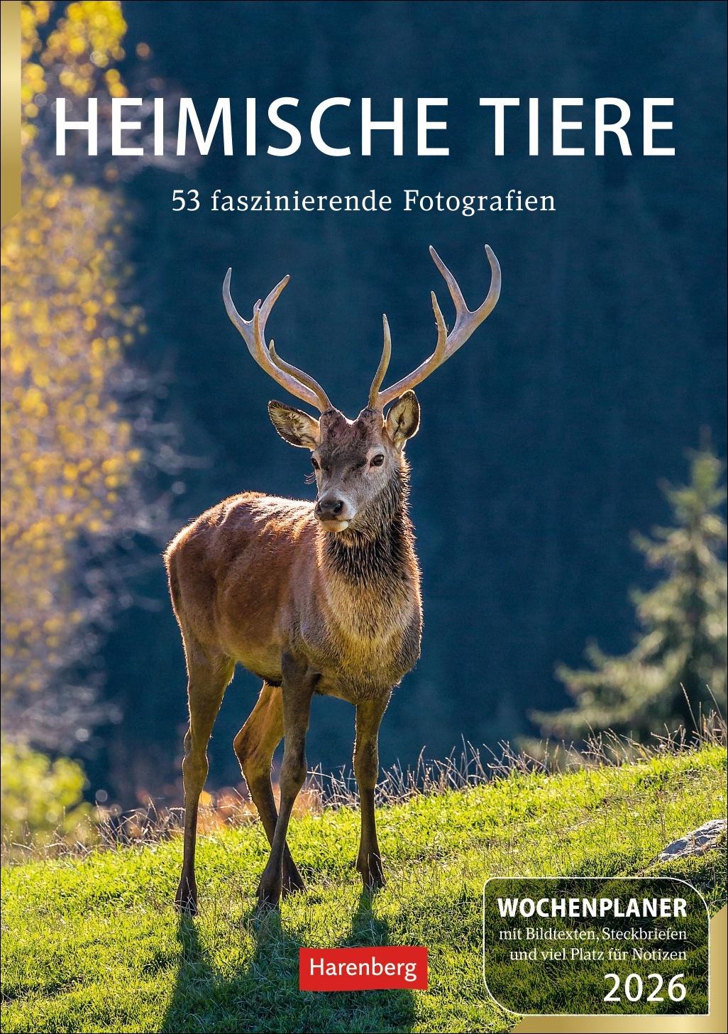 Cover: 9783840036279 | Heimische Tiere Wochenplaner 2026 - 53 faszinierende Fotografien