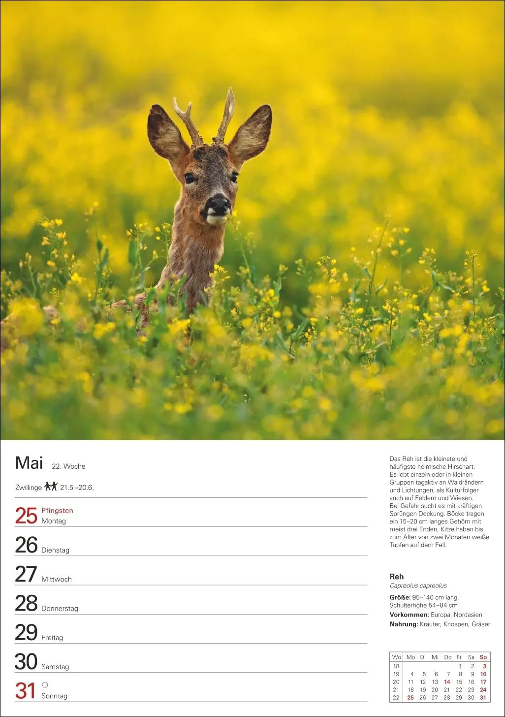 Bild: 9783840036279 | Heimische Tiere Wochenplaner 2026 - 53 faszinierende Fotografien