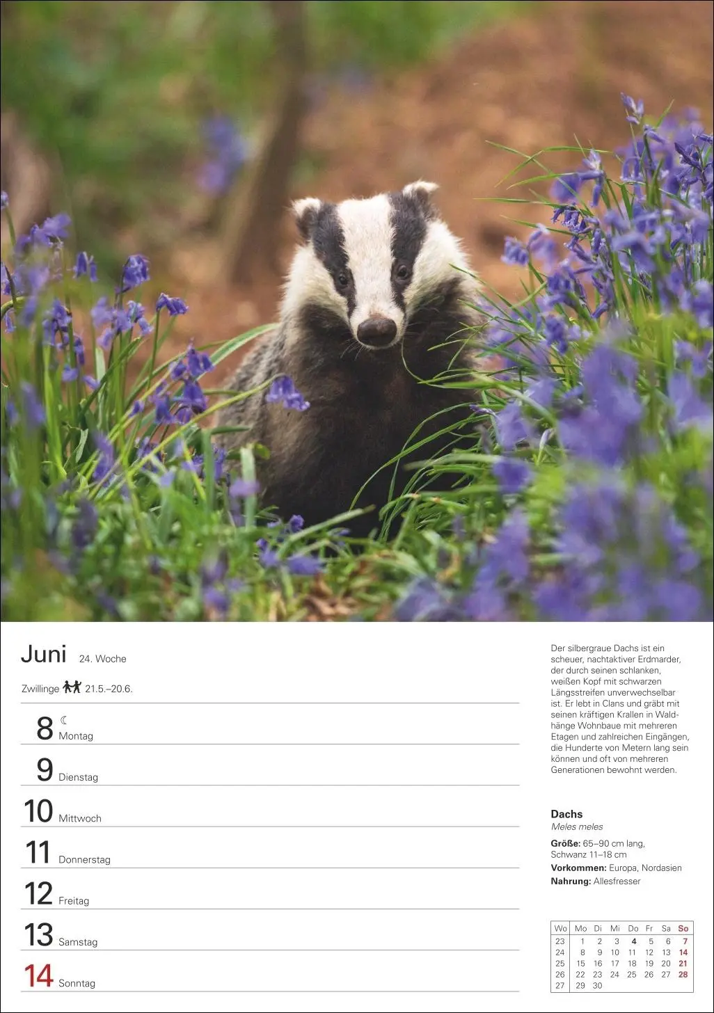 Bild: 9783840036279 | Heimische Tiere Wochenplaner 2026 - 53 faszinierende Fotografien