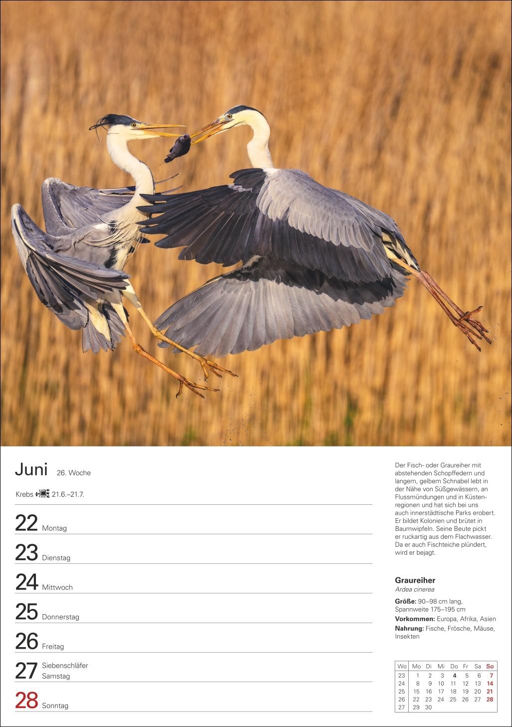 Bild: 9783840036279 | Heimische Tiere Wochenplaner 2026 - 53 faszinierende Fotografien