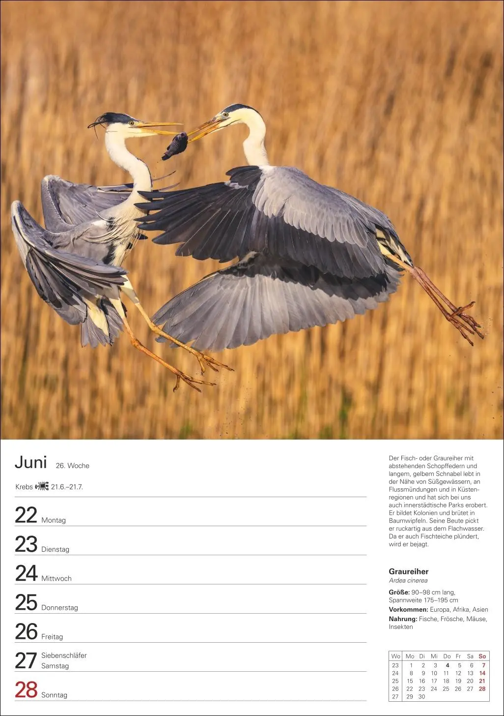 Bild: 9783840036279 | Heimische Tiere Wochenplaner 2026 - 53 faszinierende Fotografien