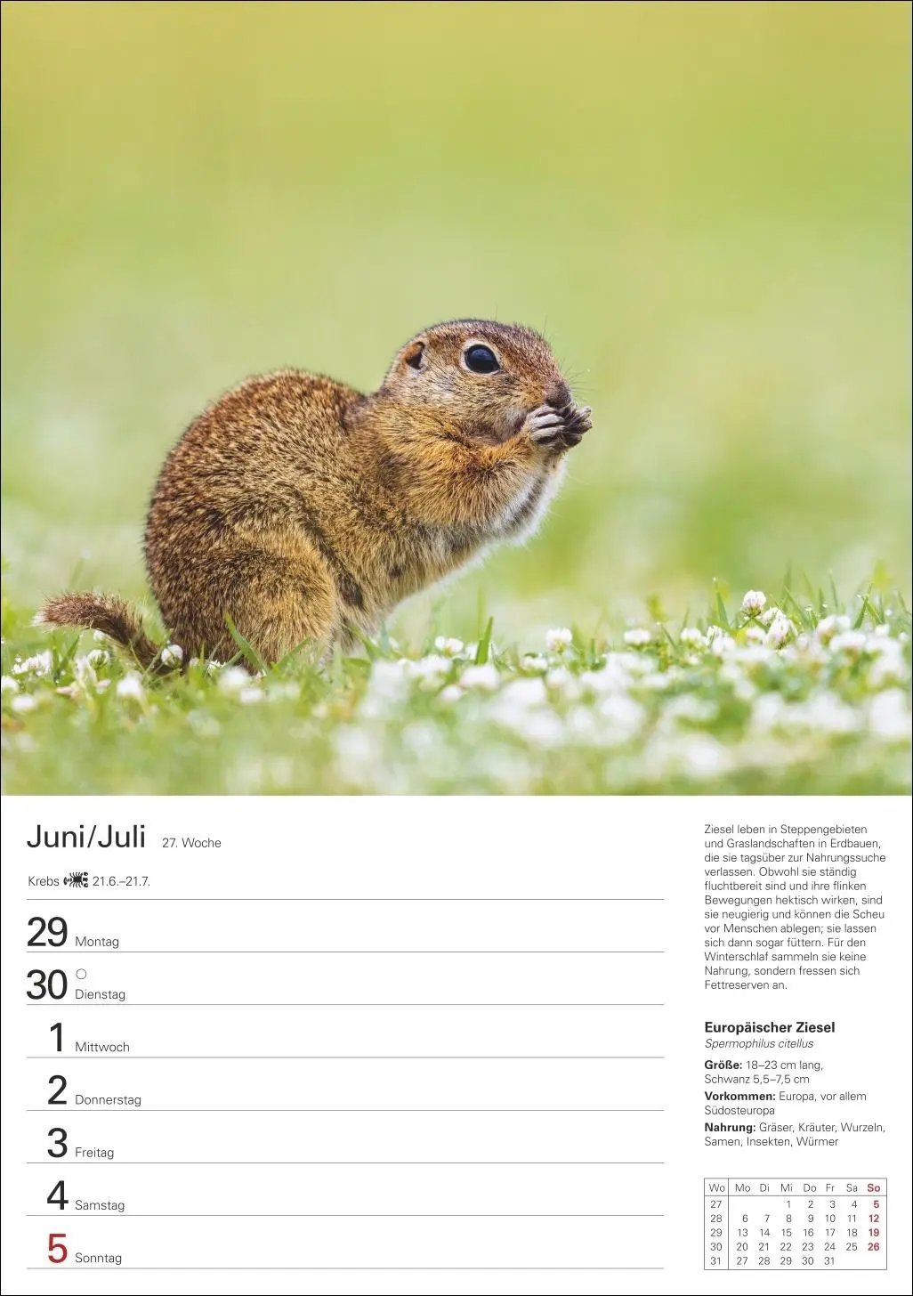 Bild: 9783840036279 | Heimische Tiere Wochenplaner 2026 - 53 faszinierende Fotografien