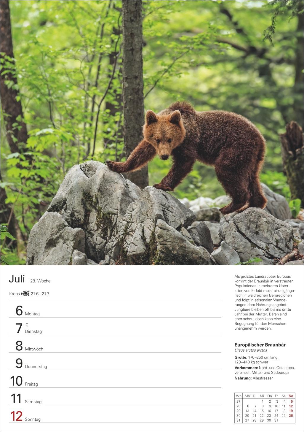 Bild: 9783840036279 | Heimische Tiere Wochenplaner 2026 - 53 faszinierende Fotografien