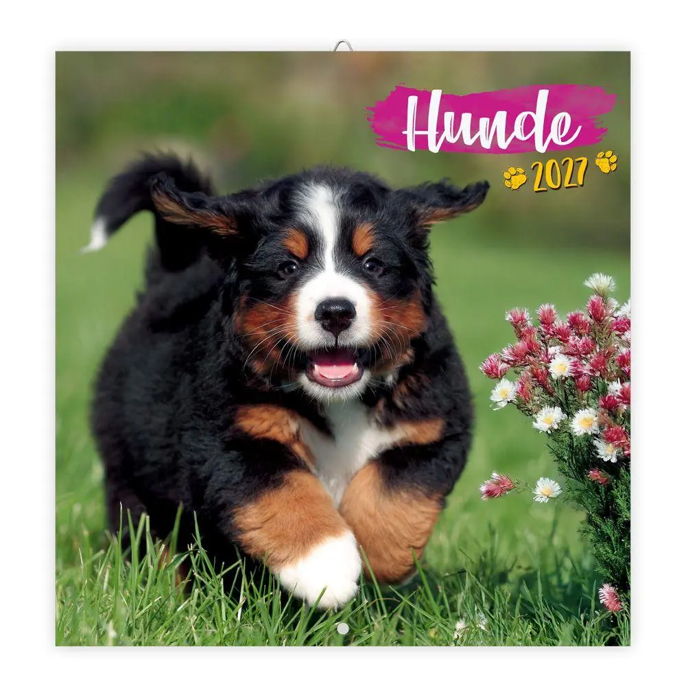 Cover: 9783988026279 | TRÖTSCH - Broschürenkalender Hunde 2027 | Wandplaner | KG | Kalender