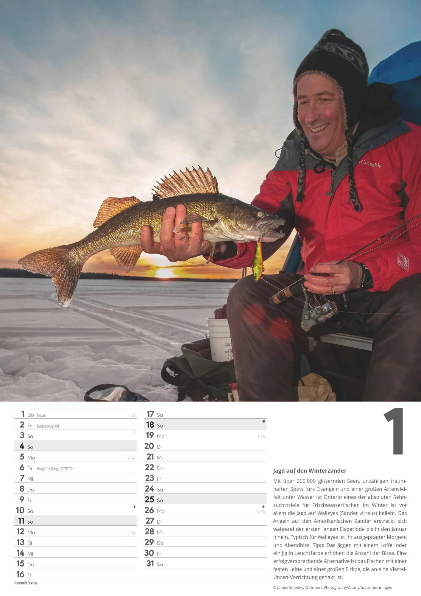 Bild: 4069095006379 | Der große Angelkalender 2026 - Bildkalender A3 (29,7x42 cm) - mit...