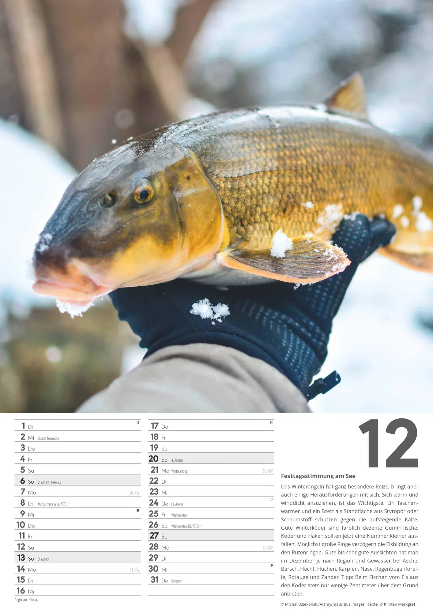 Bild: 4069095006379 | Der große Angelkalender 2026 - Bildkalender A3 (29,7x42 cm) - mit...