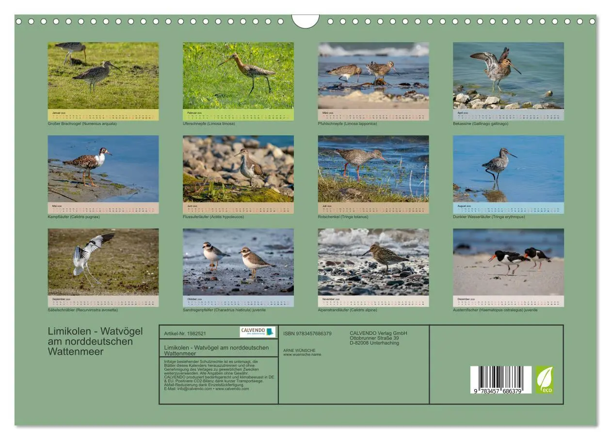 Bild: 9783457686379 | Limikolen - Watvögel am norddeutschen Wattenmeer (Wandkalender 2026...