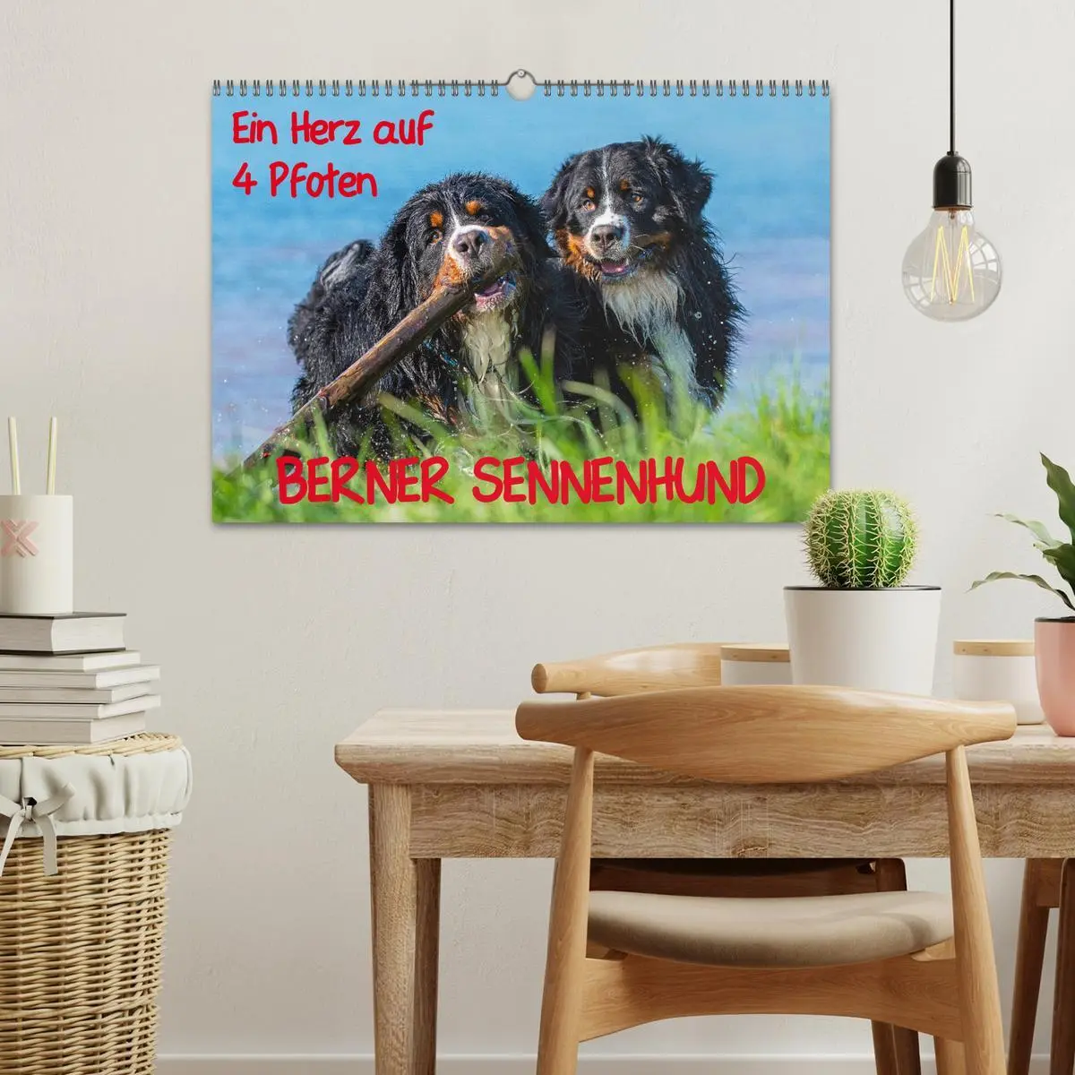 Bild: 9783457826379 | Ein Herz auf 4 Pfoten - Berner Sennenhund (Wandkalender 2026 DIN A3...
