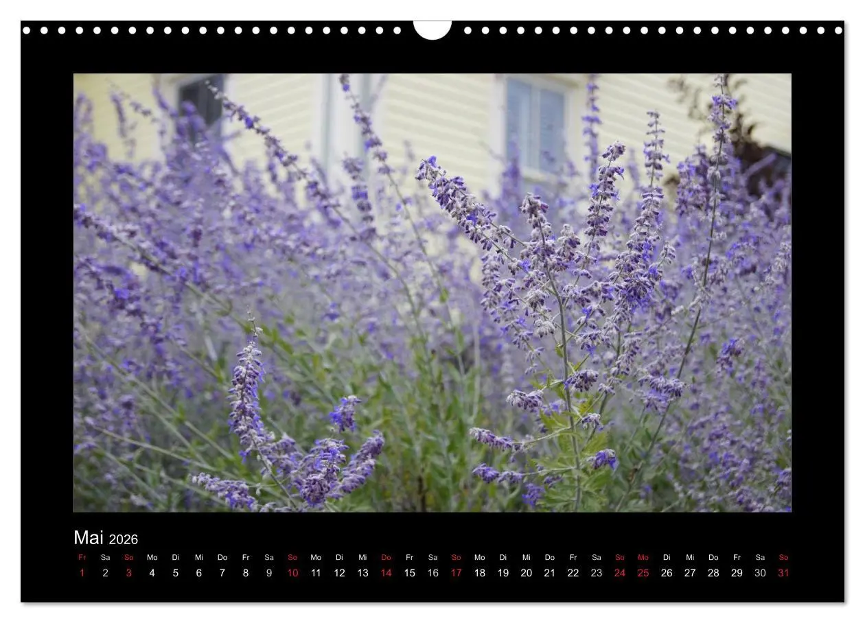 Bild: 9783516226379 | Nova Scotia &amp; Prince Edward Island (Wandkalender 2026 DIN A3 quer),...