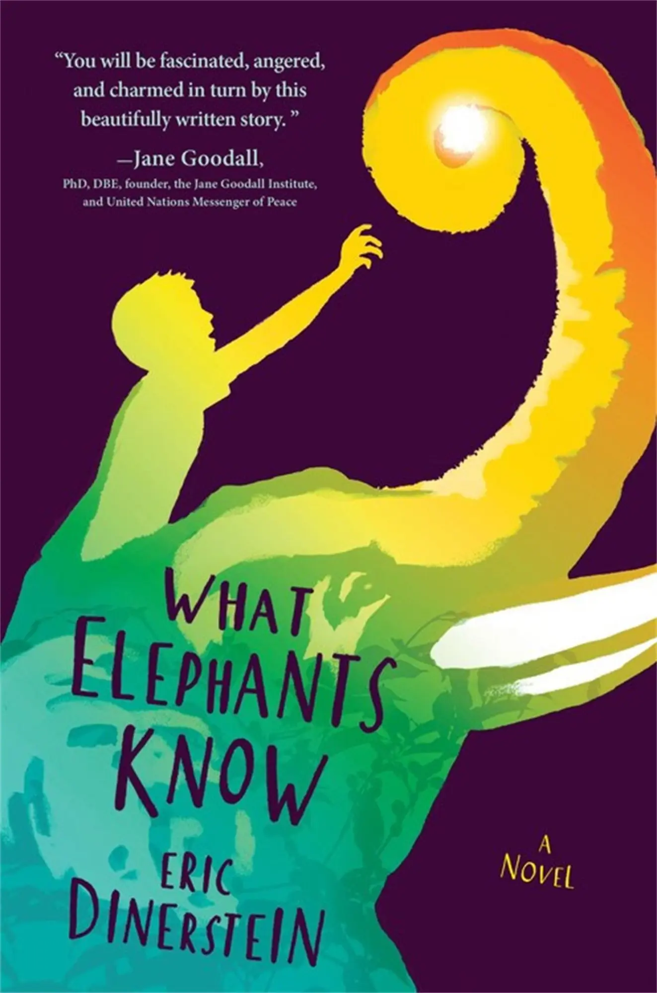 Cover: 9781484746479 | What Elephants Know | Eric Dinerstein | Taschenbuch | Englisch | 2017