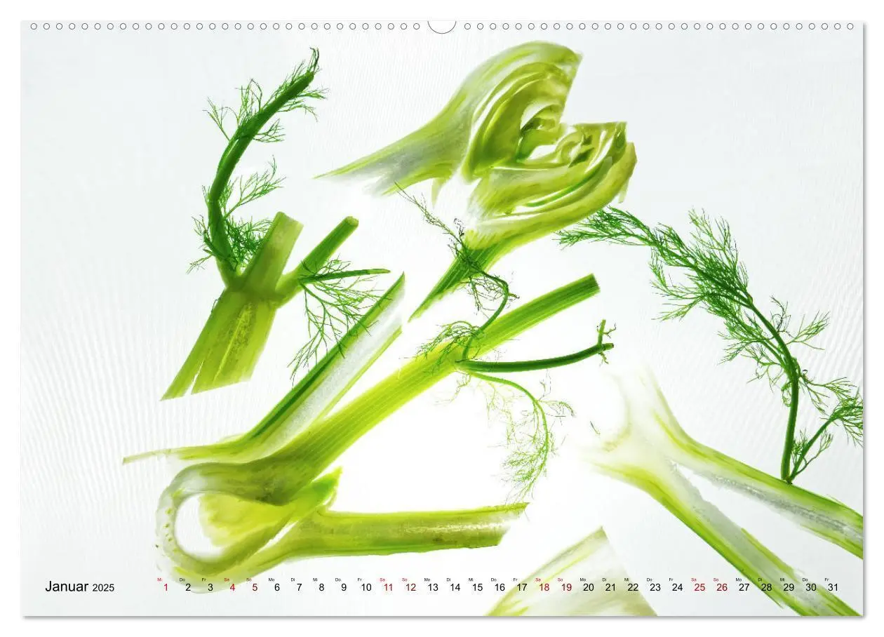 Bild: 9783435346479 | VEGETARISCHER QUERSCHNITT (hochwertiger Premium Wandkalender 2025...