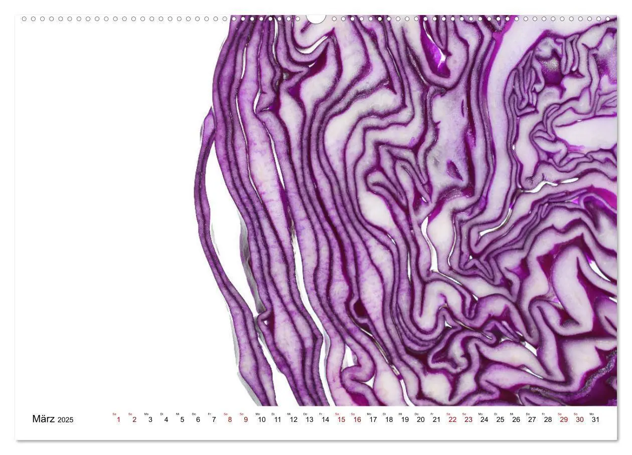 Bild: 9783435346479 | VEGETARISCHER QUERSCHNITT (hochwertiger Premium Wandkalender 2025...