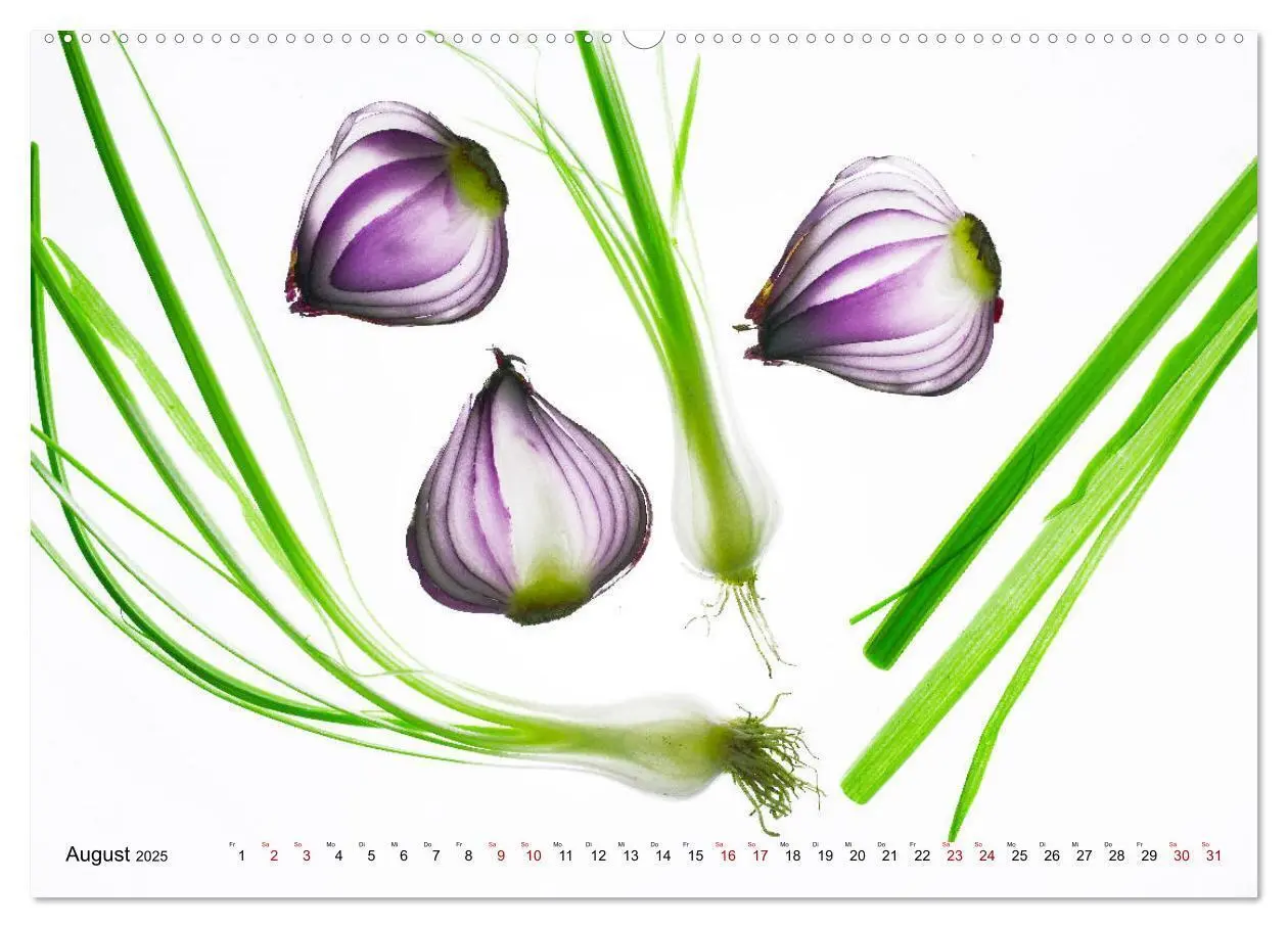 Bild: 9783435346479 | VEGETARISCHER QUERSCHNITT (hochwertiger Premium Wandkalender 2025...