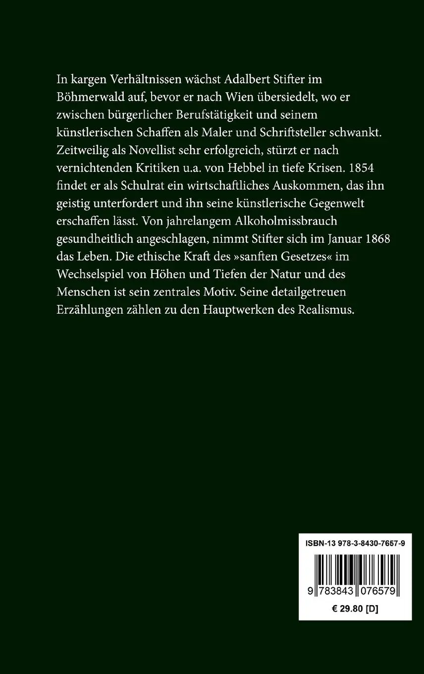 Rückseite: 9783843076579 | Der Nachsommer | Adalbert Stifter | Buch | 656 S. | Deutsch | 2015