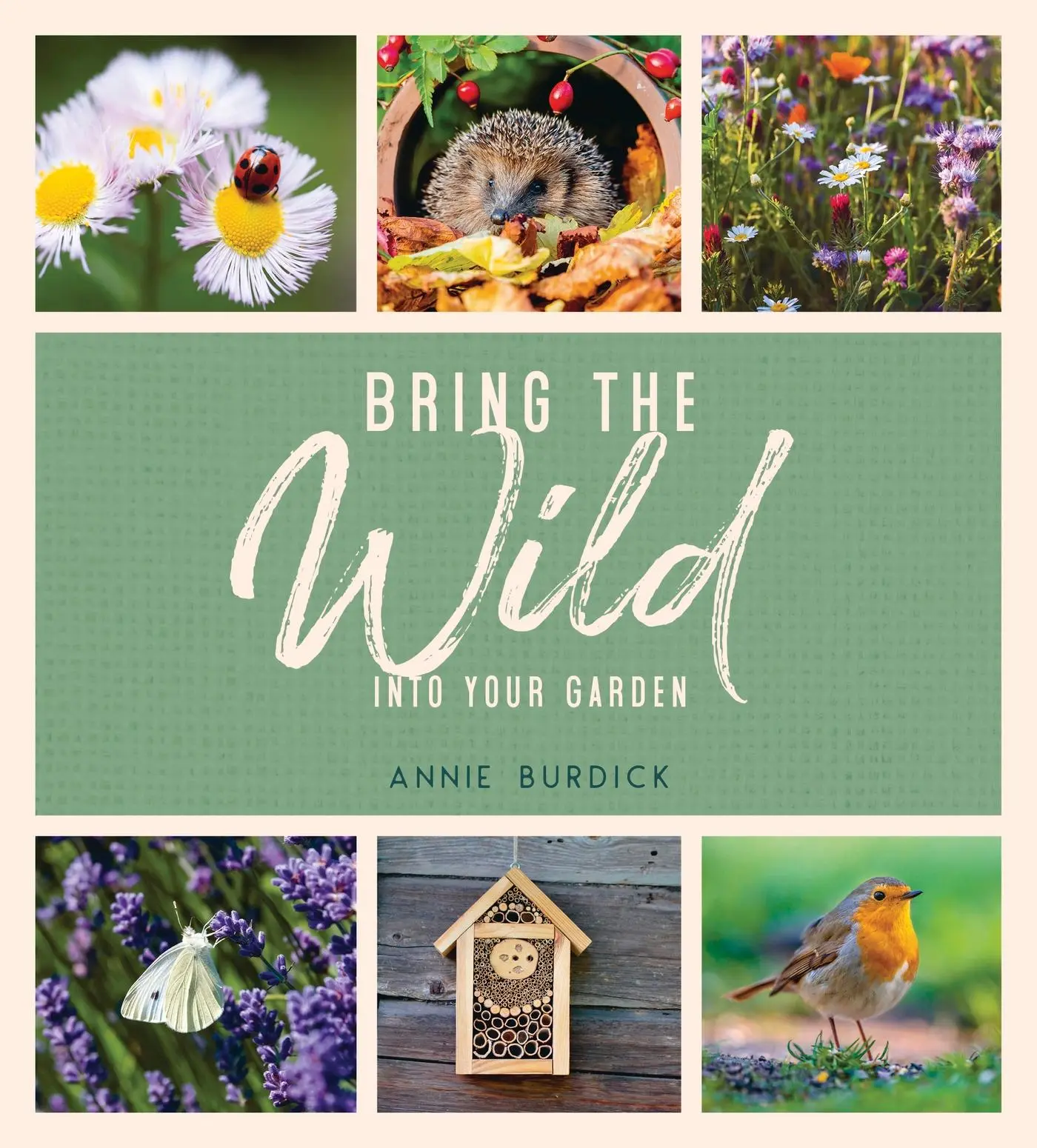Cover: 9781787836679 | Bring the Wild into Your Garden | Annie Burdick | Buch | Gebunden