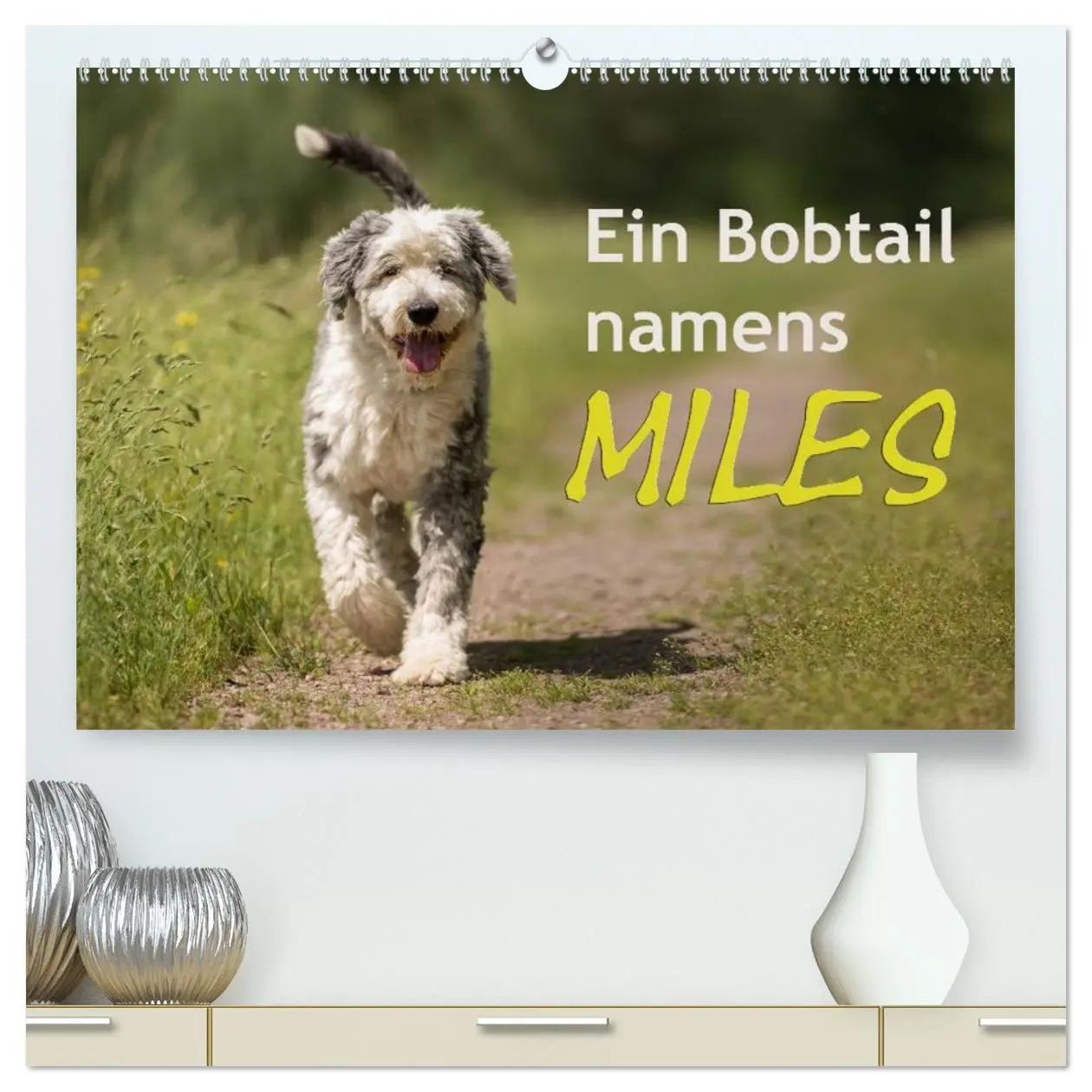 Cover: 9783516056679 | Ein Bobtail namens Miles (hochwertiger Premium Wandkalender 2026...
