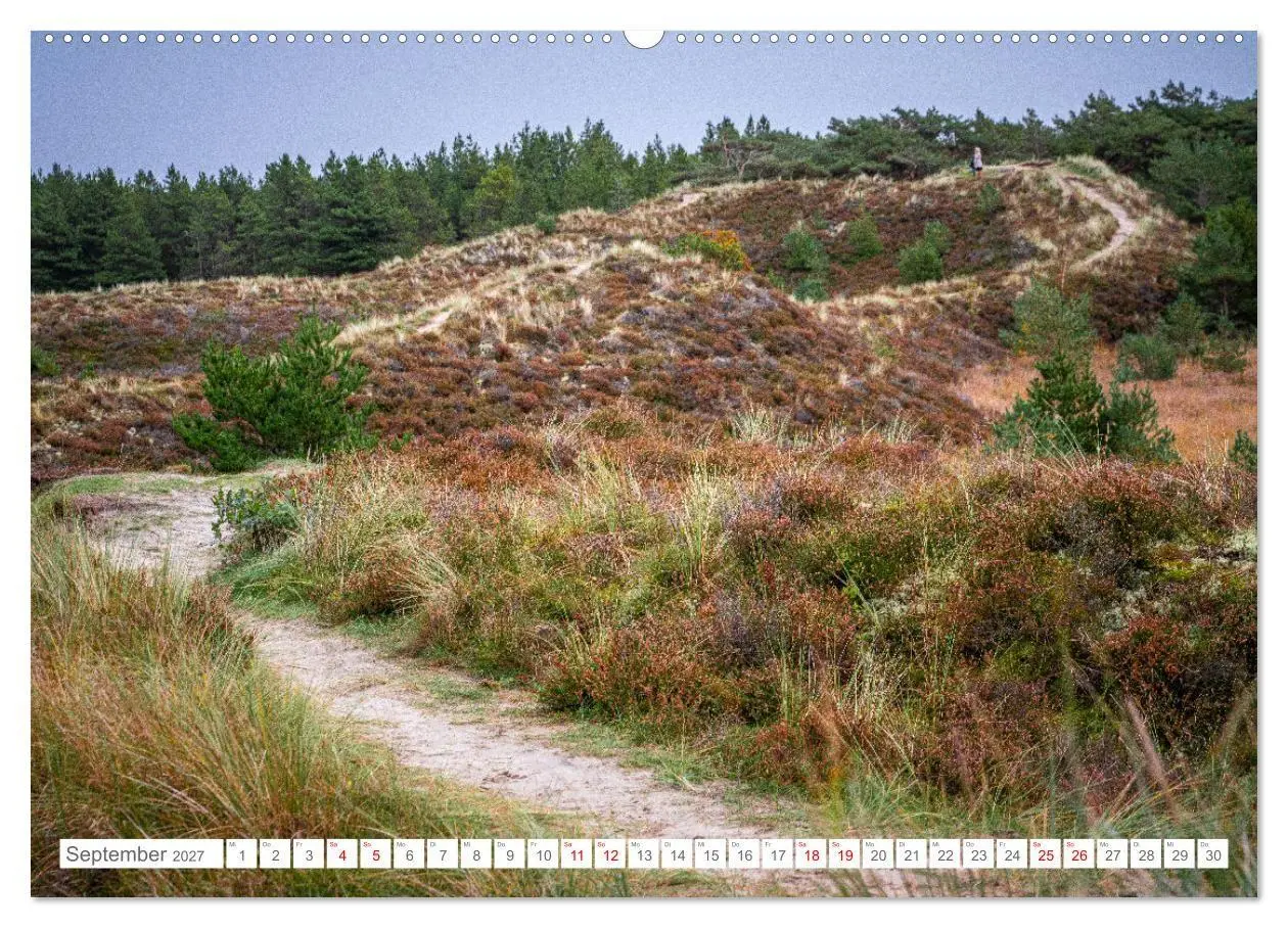 Bild: 9783569216679 | Naturerlebnis Rømø (Wandkalender 2027 DIN A2 quer), CALVENDO...