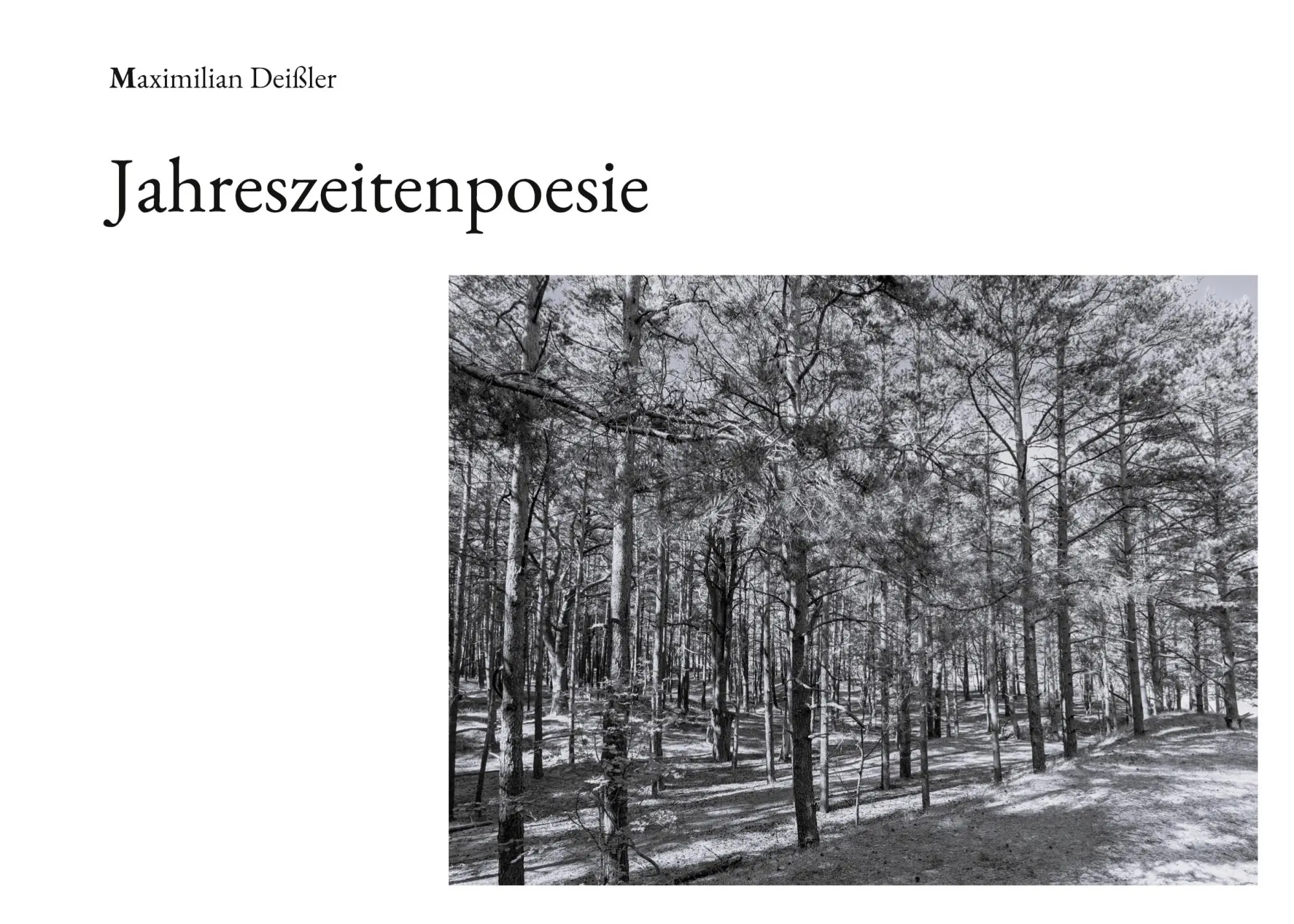 Cover: 9783844816679 | Jahreszeitenpoesie | Maximilian Deißler | Taschenbuch | 46 S. | 2025