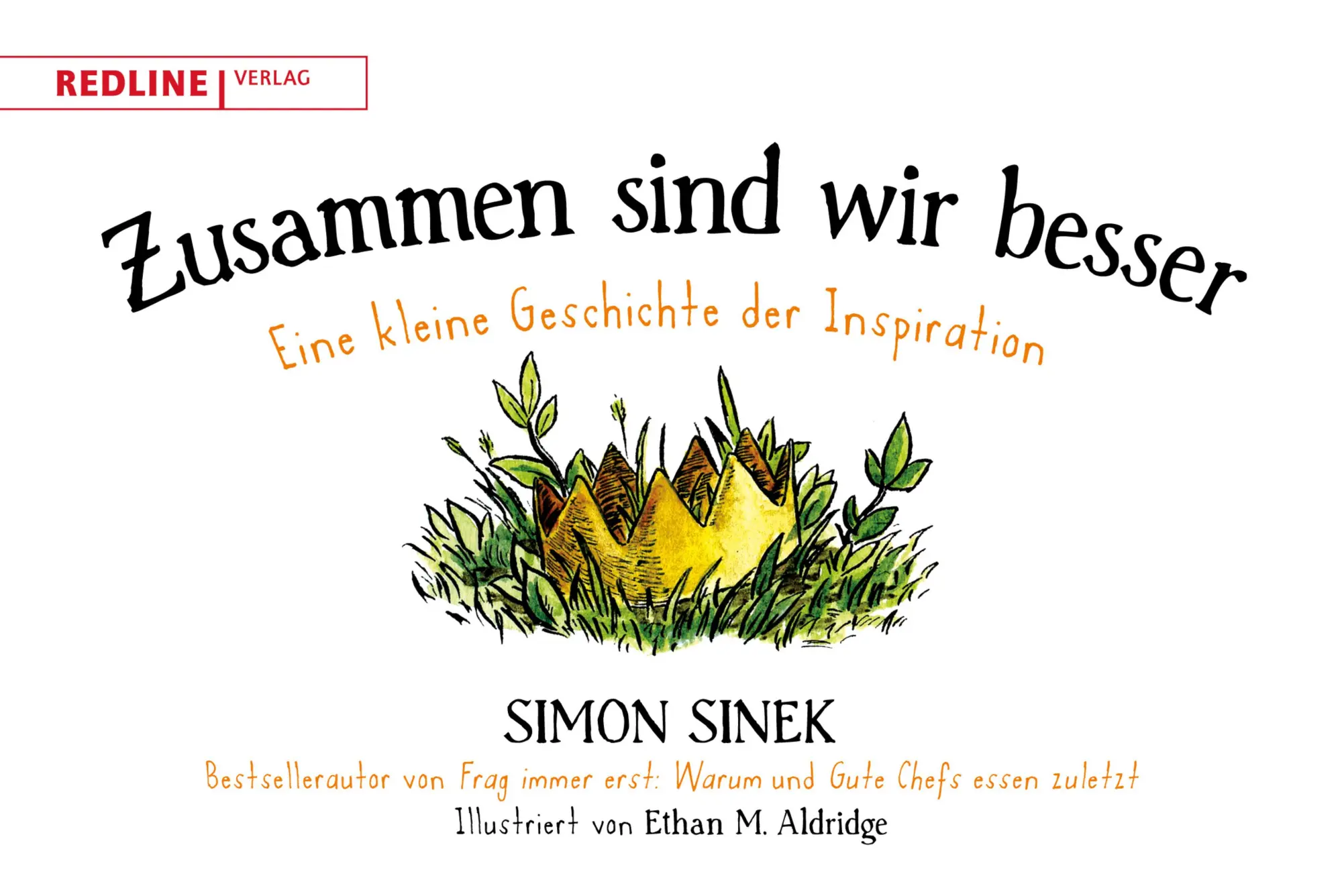 Cover: 9783868816679 | Zusammen sind wir besser | Eine kleine Geschichte der Inspiration