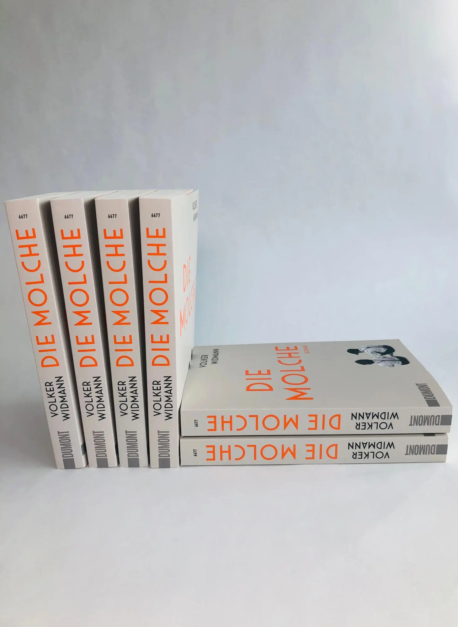 Bild: 9783832166779 | Die Molche | Roman | Volker Widmann | Taschenbuch | 256 S. | Deutsch