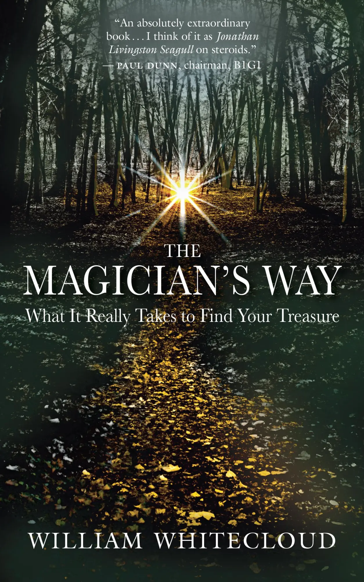 Cover: 9781577316879 | The Magician's Way | What It Really Takes to Find Your Treasure | Buch