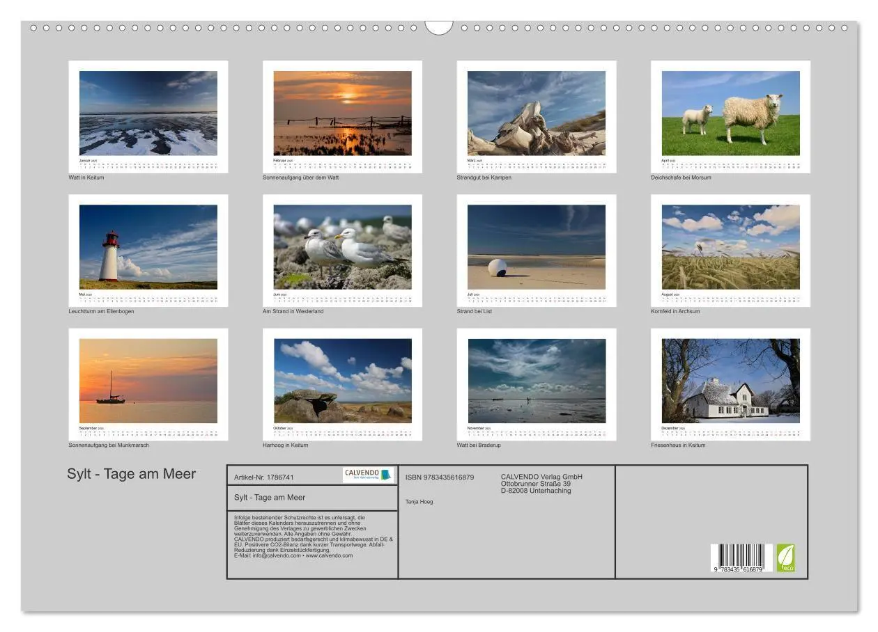Bild: 9783435616879 | Sylt - Tage am Meer (Wandkalender 2025 DIN A2 quer), CALVENDO...