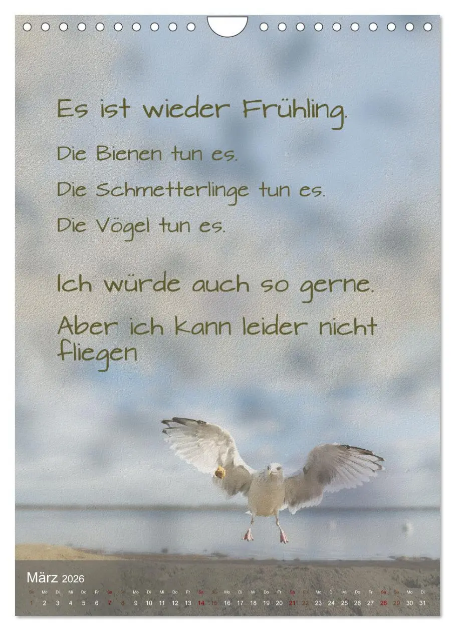 Bild: 9783516346879 | Heute ist ein guter Tag (Wandkalender 2026 DIN A4 hoch), CALVENDO...