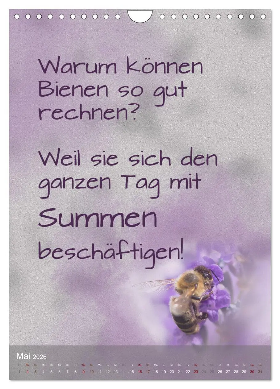 Bild: 9783516346879 | Heute ist ein guter Tag (Wandkalender 2026 DIN A4 hoch), CALVENDO...