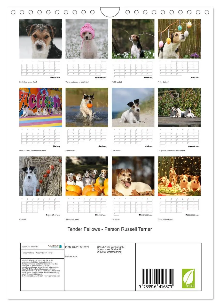 Bild: 9783516416879 | Tender Fellows - Parson Russell Terrier (Wandkalender 2026 DIN A4...