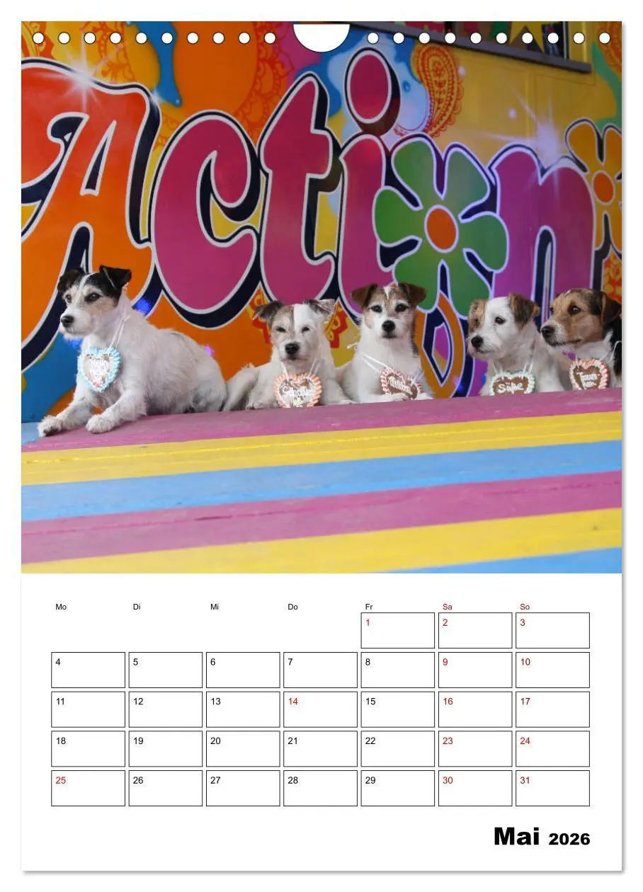 Bild: 9783516416879 | Tender Fellows - Parson Russell Terrier (Wandkalender 2026 DIN A4...