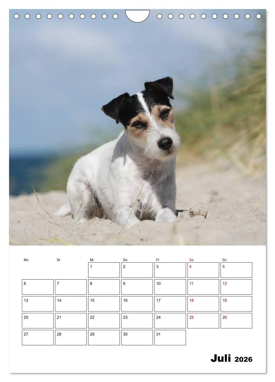 Bild: 9783516416879 | Tender Fellows - Parson Russell Terrier (Wandkalender 2026 DIN A4...