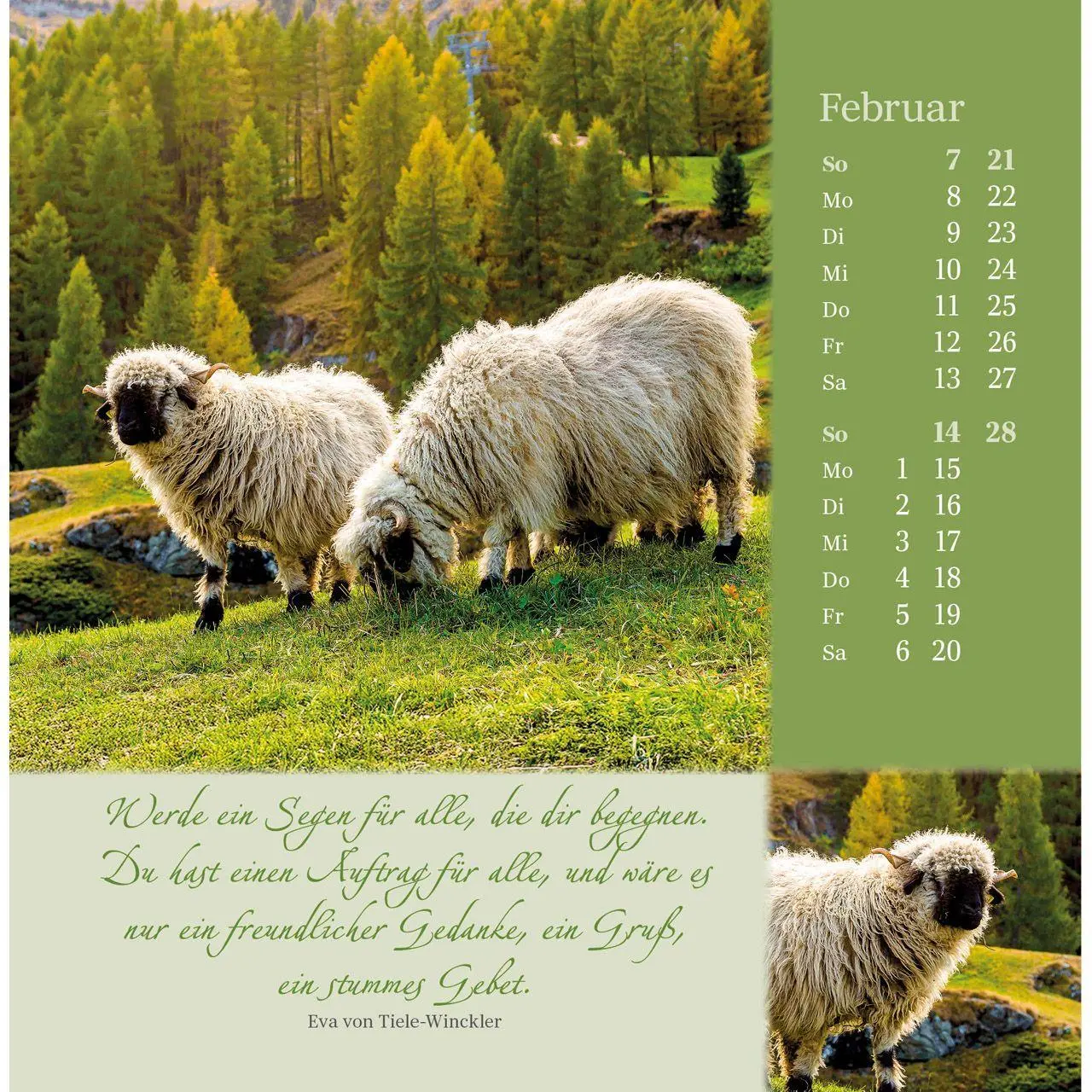 Bild: 9783754876879 | Sei behütet und gesegnet 2027 | Impulse und Gedanken zu Psalm 23