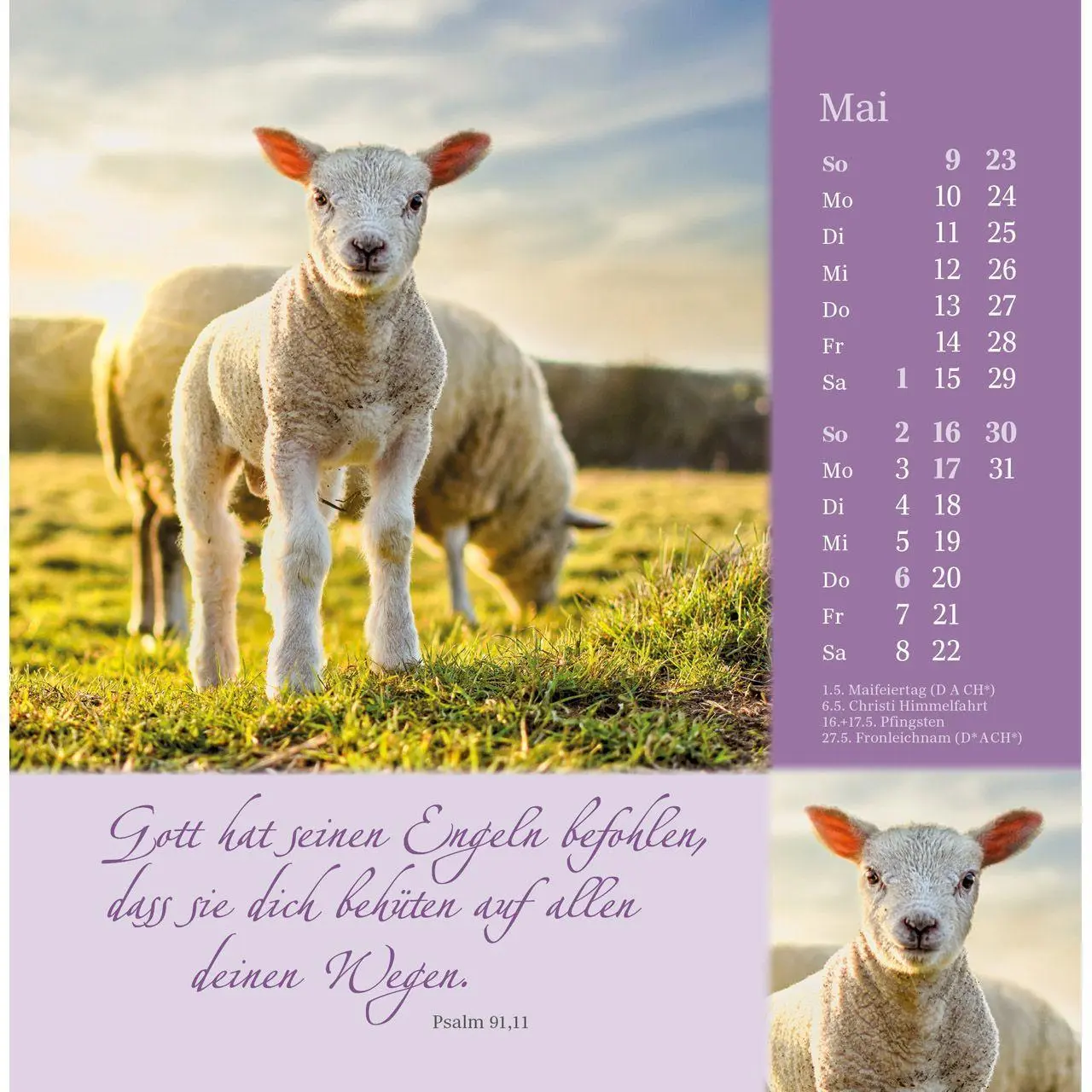 Bild: 9783754876879 | Sei behütet und gesegnet 2027 | Impulse und Gedanken zu Psalm 23