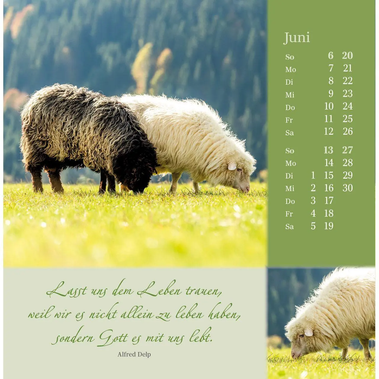 Bild: 9783754876879 | Sei behütet und gesegnet 2027 | Impulse und Gedanken zu Psalm 23