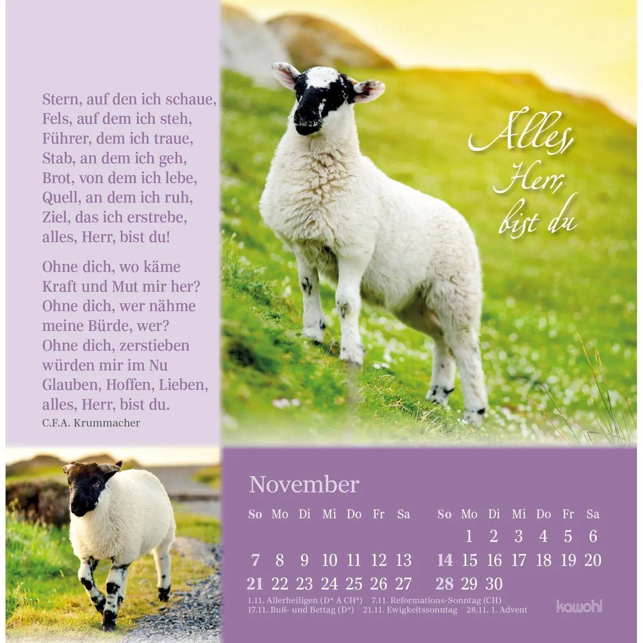 Bild: 9783754876879 | Sei behütet und gesegnet 2027 | Impulse und Gedanken zu Psalm 23