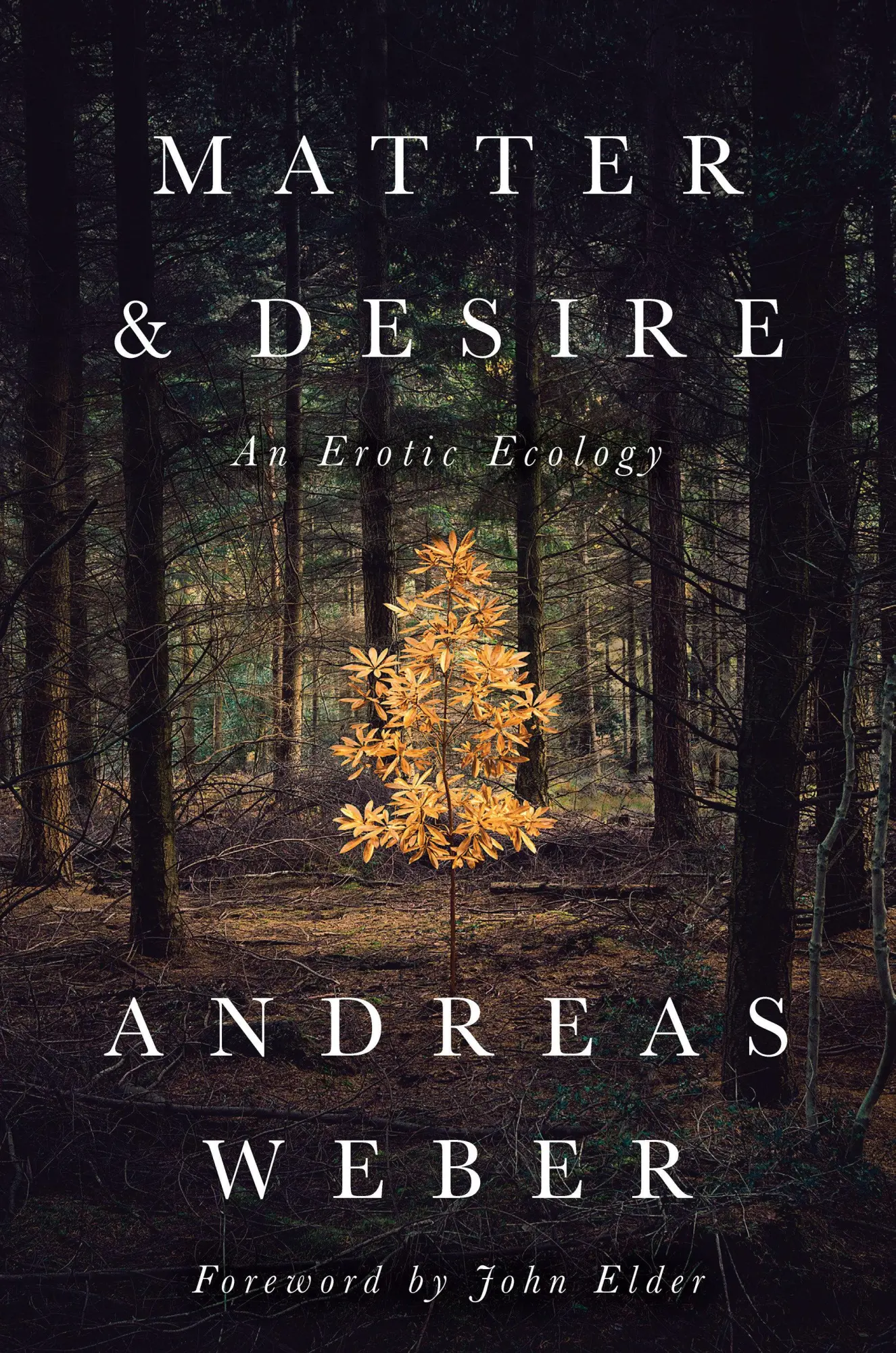 Cover: 9781603586979 | Matter and Desire | An Erotic Ecology | Andreas Weber | Taschenbuch