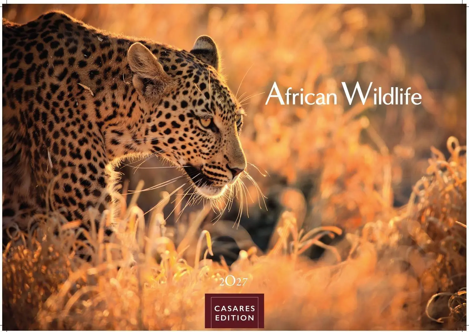Cover: 9781835246979 | Wilde Tiere Afrikas Kalender 2027 - Wandkalender Fotokalender...