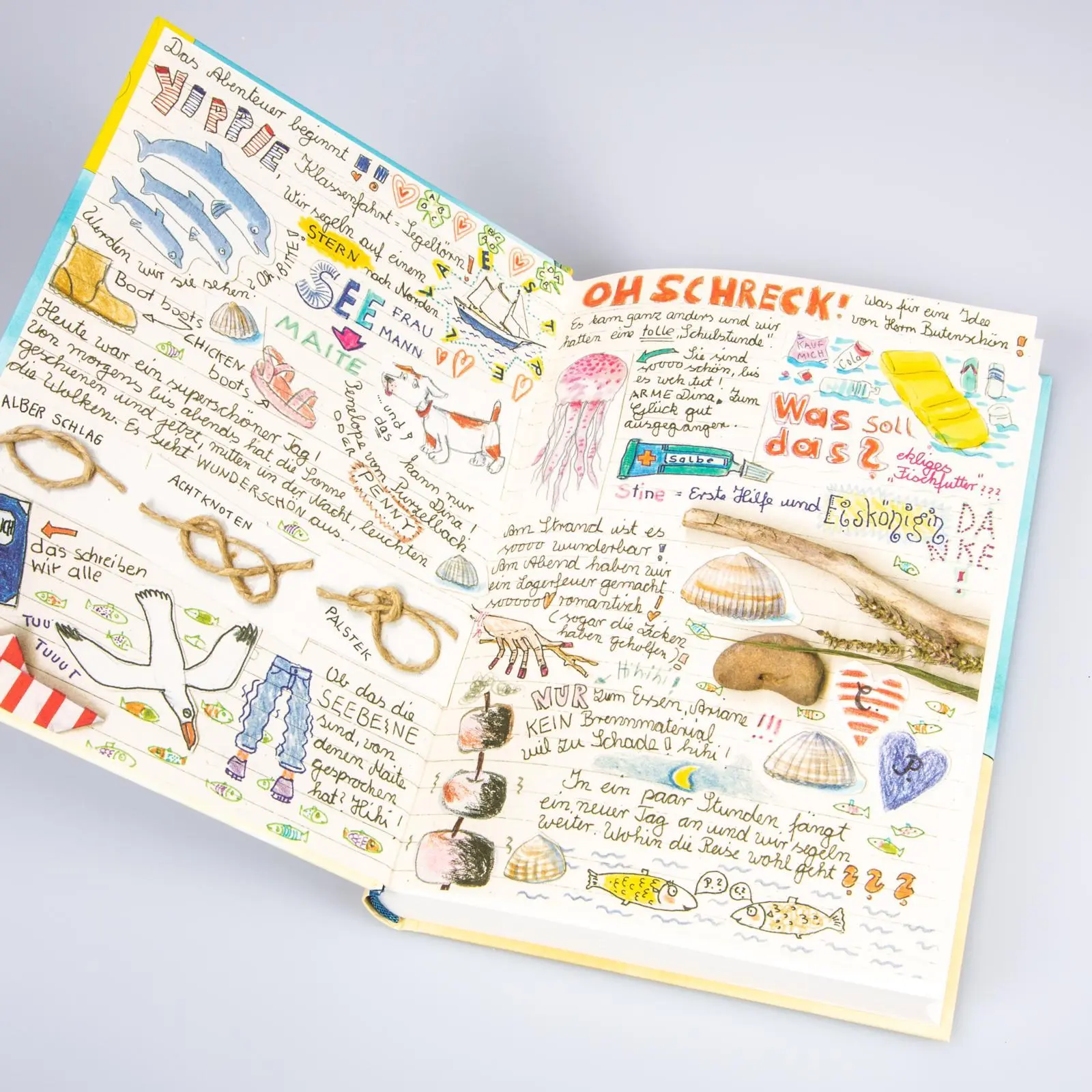 Bild: 9783551557179 | Conni &amp; Co 17: Conni, Billi und das schwimmende Klassenzimmer | Buch