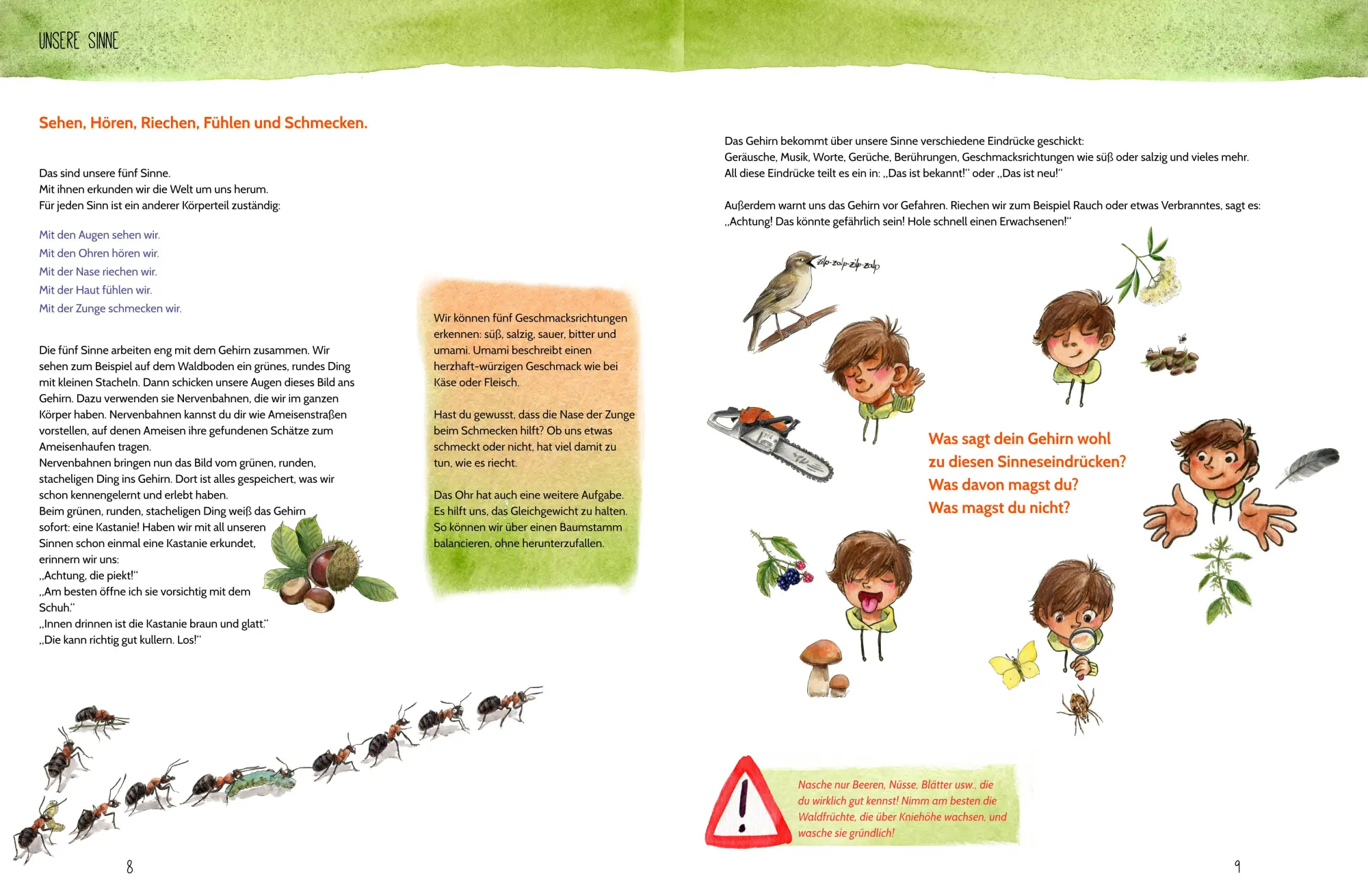 Bild: 9783945677179 | Erlebe den Wald mit allen Sinnen | Sabi Kasper | Buch | 24 S. | 2021