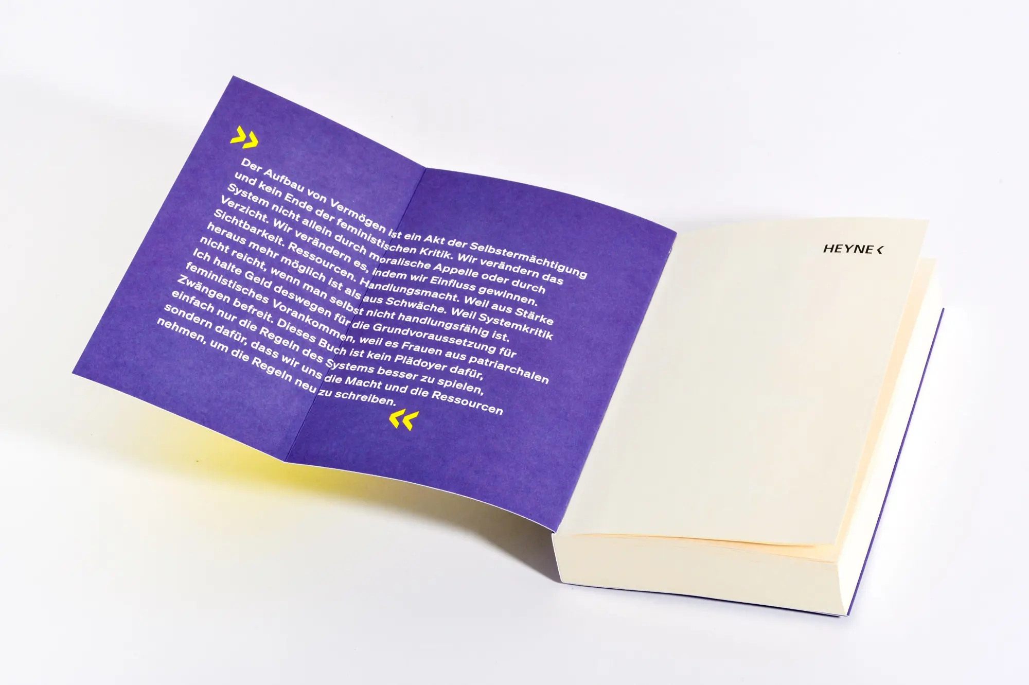 Bild: 9783453607279 | Die Krise liebt Frauen wie dich | Natascha Wegelin | Taschenbuch