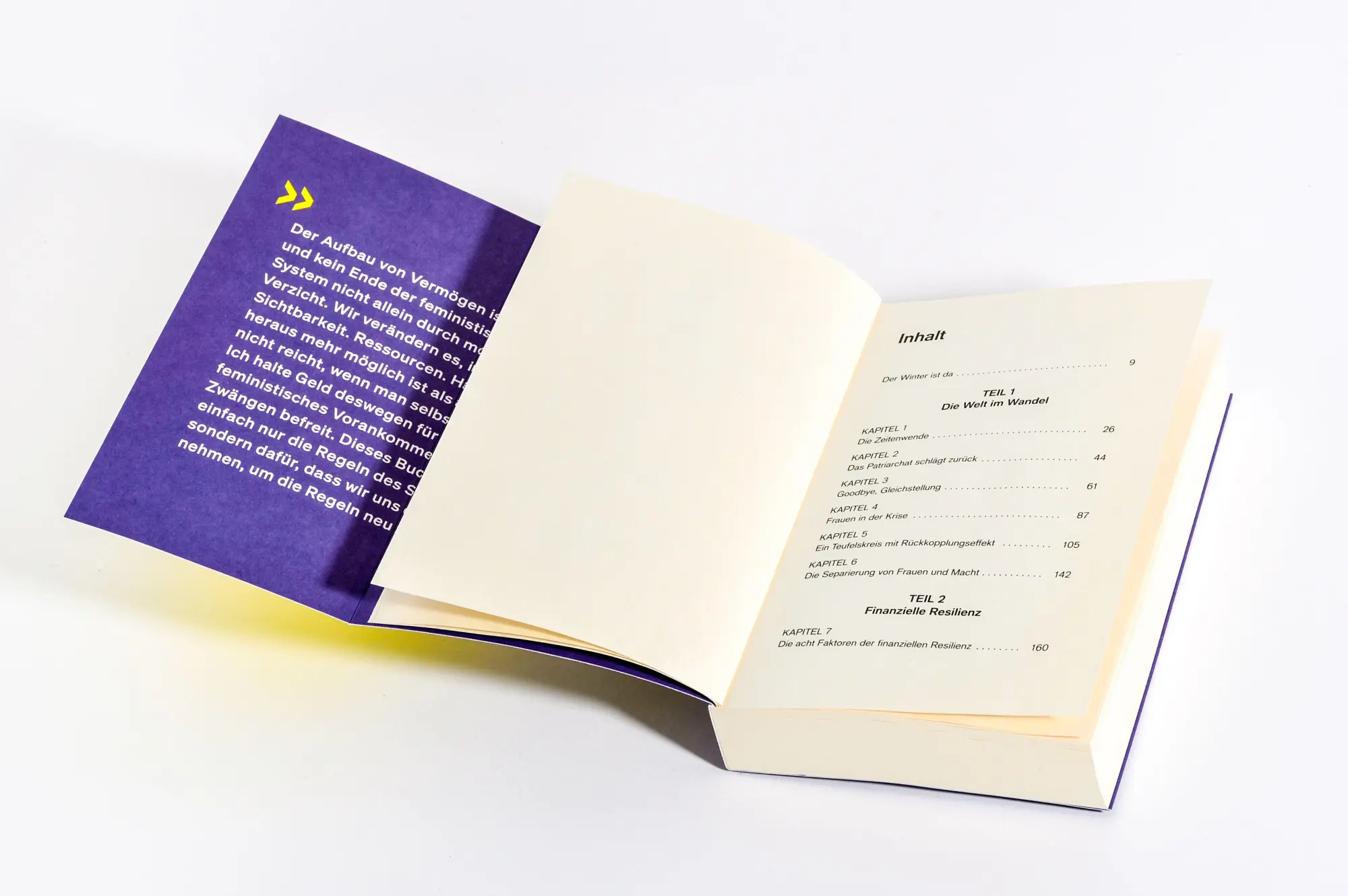 Bild: 9783453607279 | Die Krise liebt Frauen wie dich | Natascha Wegelin | Taschenbuch