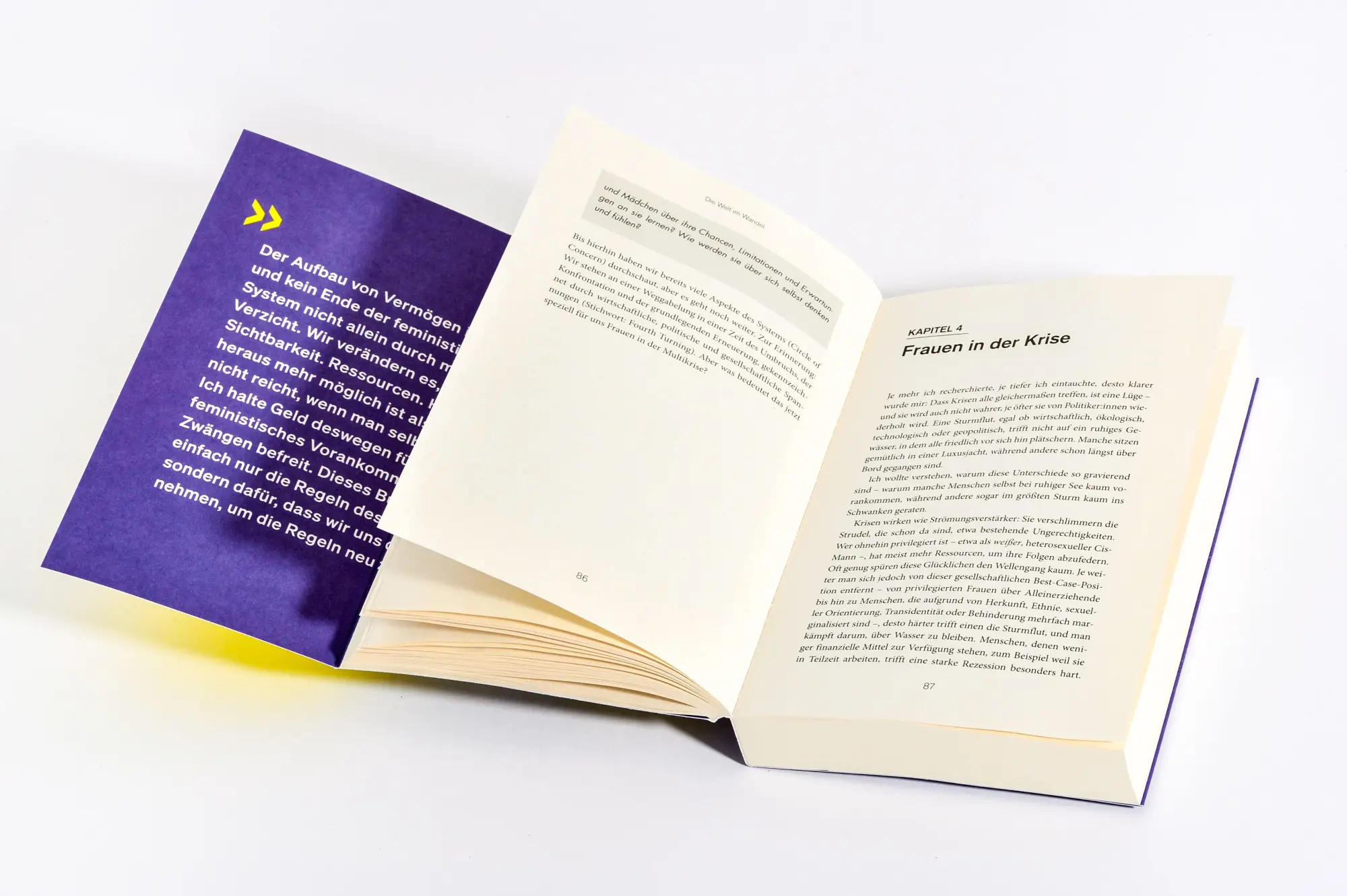 Bild: 9783453607279 | Die Krise liebt Frauen wie dich | Natascha Wegelin | Taschenbuch