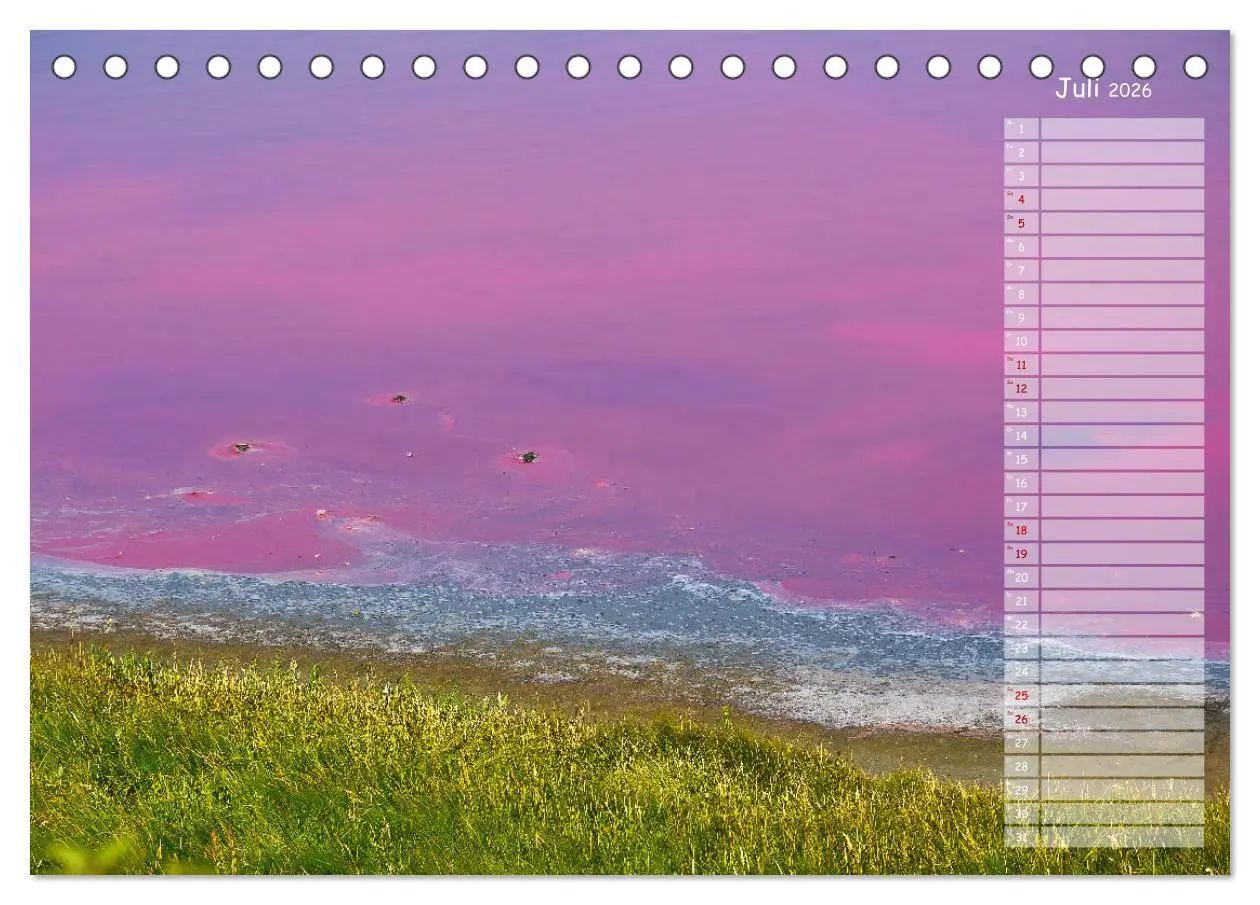 Bild: 9783457737279 | Ein Sommer auf Texel (Tischkalender 2026 DIN A5 quer), CALVENDO...